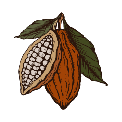 BEURRE DE CACAO